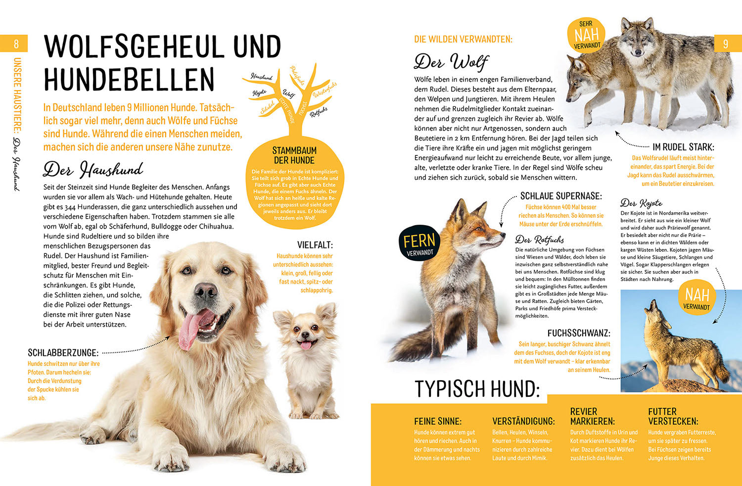 kosmos-heimische-tiere-und-ihre-wilden-verwandten-tierbuch image 4