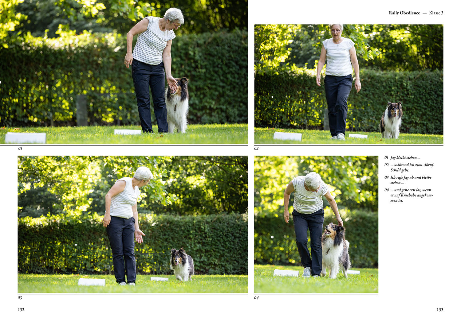 kosmos-rally-obedience-buch-hundesport-training-parcours image 4