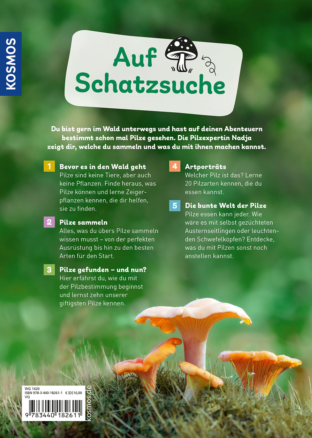kosmos-pilzbuch-f-r-kids-familienbuch-pilze-wald image 2