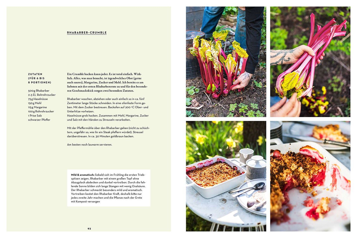 anja-klein-blumen-kohl-rock-n-roll-gartenbuch-horrorgarten image 6