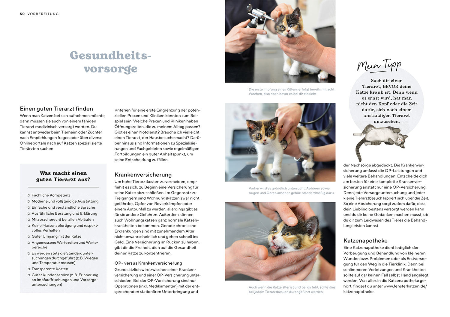 kosmos-k-tzchen-ratgeber-katzenbuch-haltung-auswahl image 4