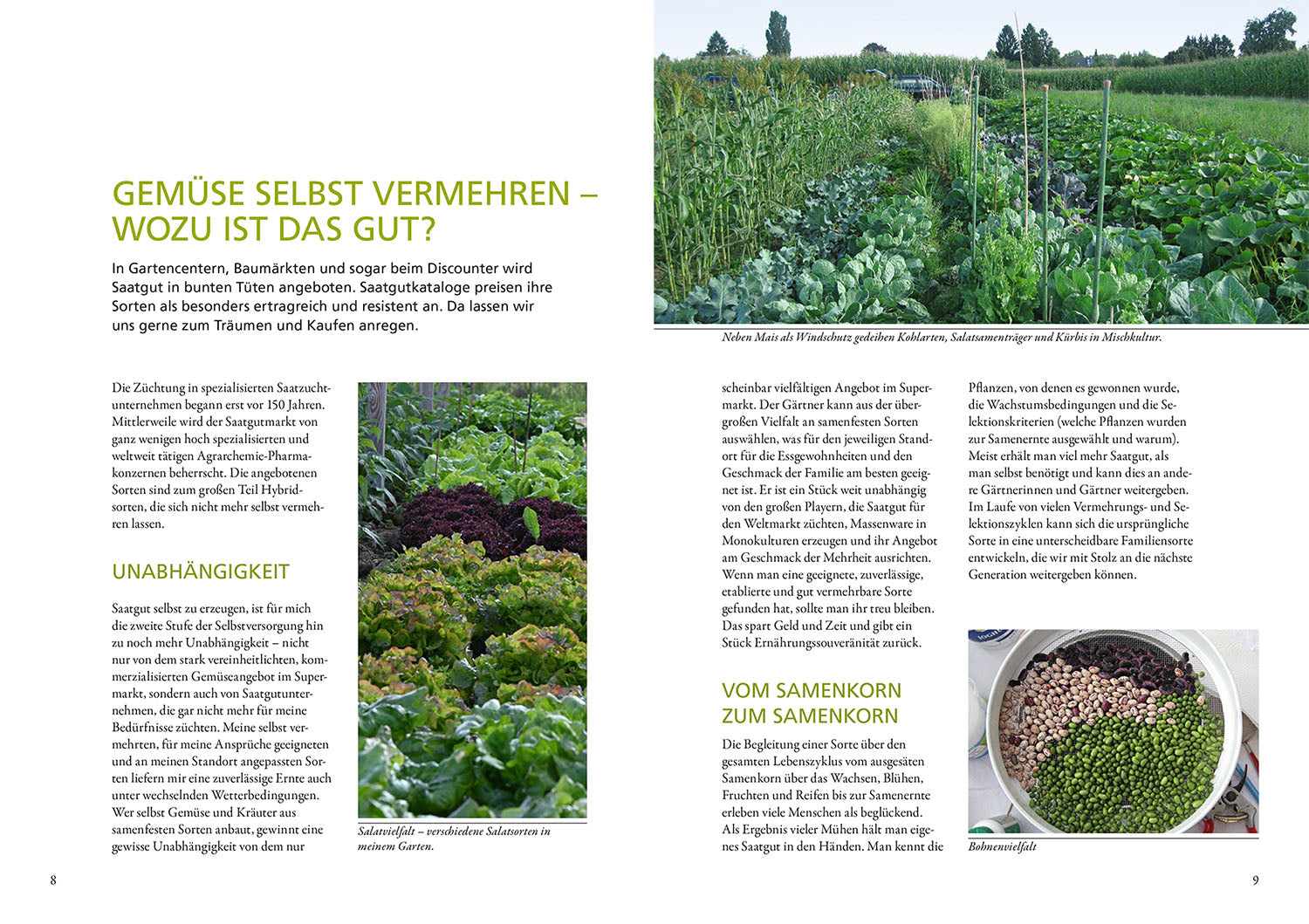 kosmos-meine-samen-g-rtnerei-gartenbuch-saatgut-vermehren image 3