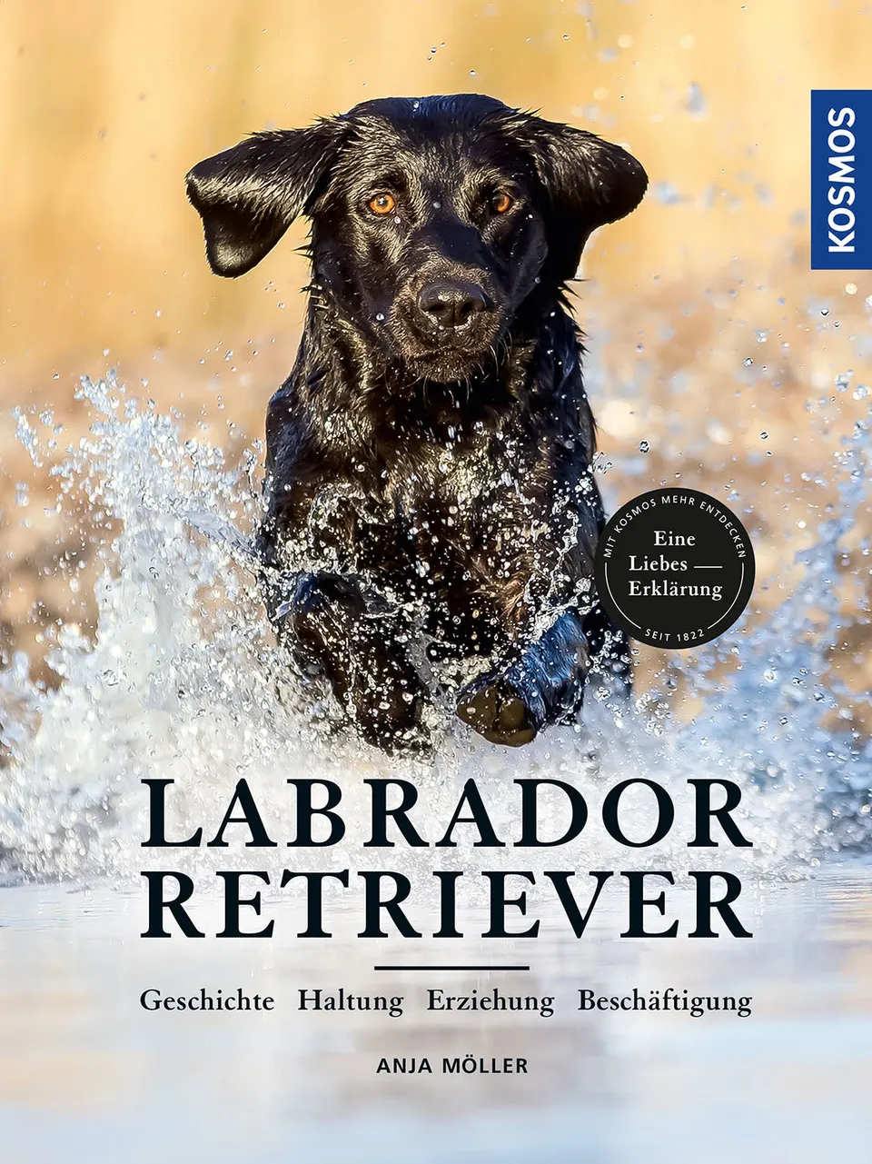 kosmos-labrador-retriever-rasseportr-t-hundebuch image 1