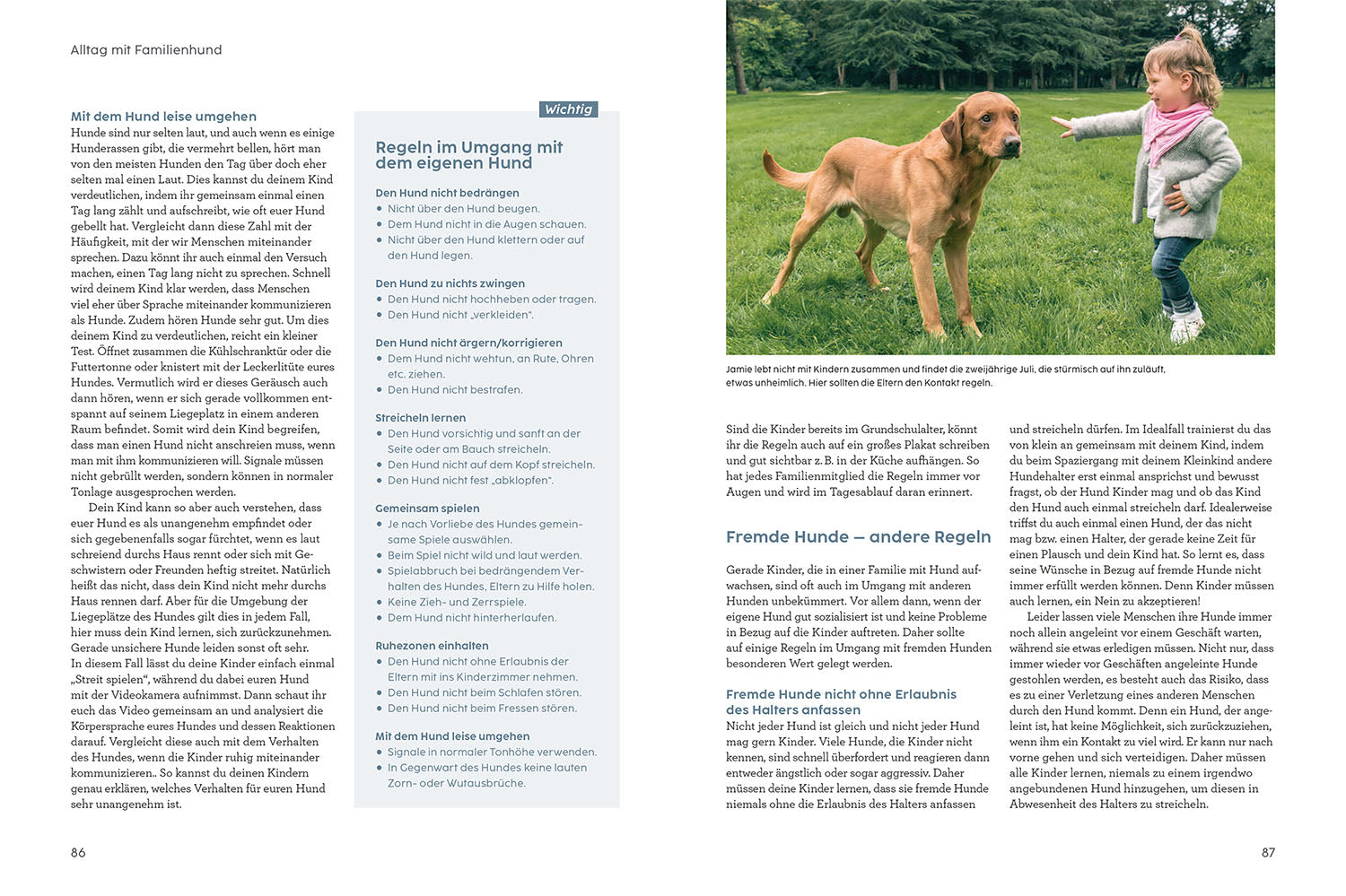kosmos-hund-und-kind-mit-martin-r-tter-buch-familien-ratgeber image 5