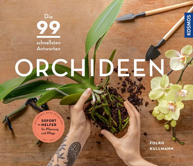 kosmos-orchideen-soforthelfer-ratgeber-zimmerpflanzen image 1