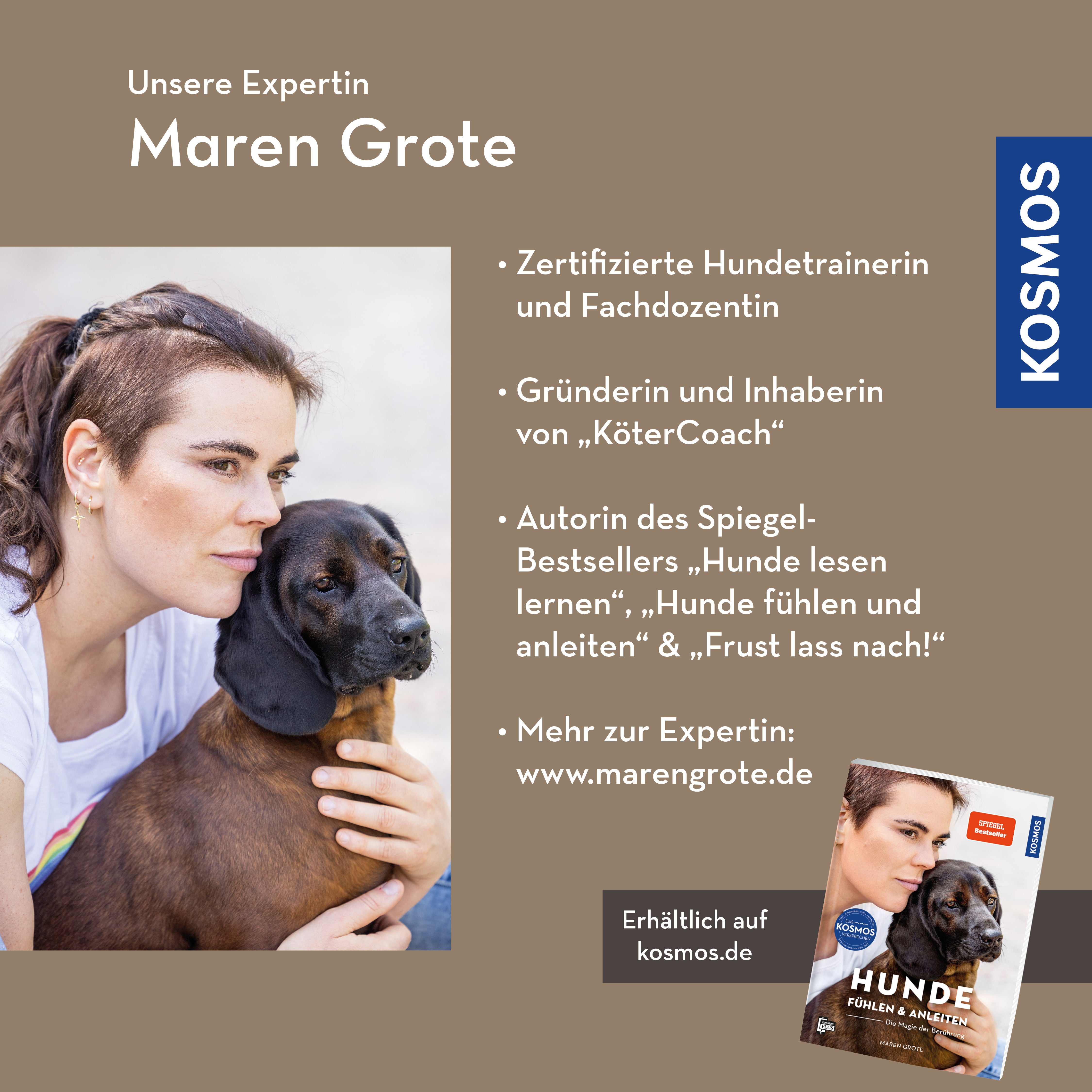 adventure-games-digital-ber-hrung-als-sprache-webinar-hund image 2