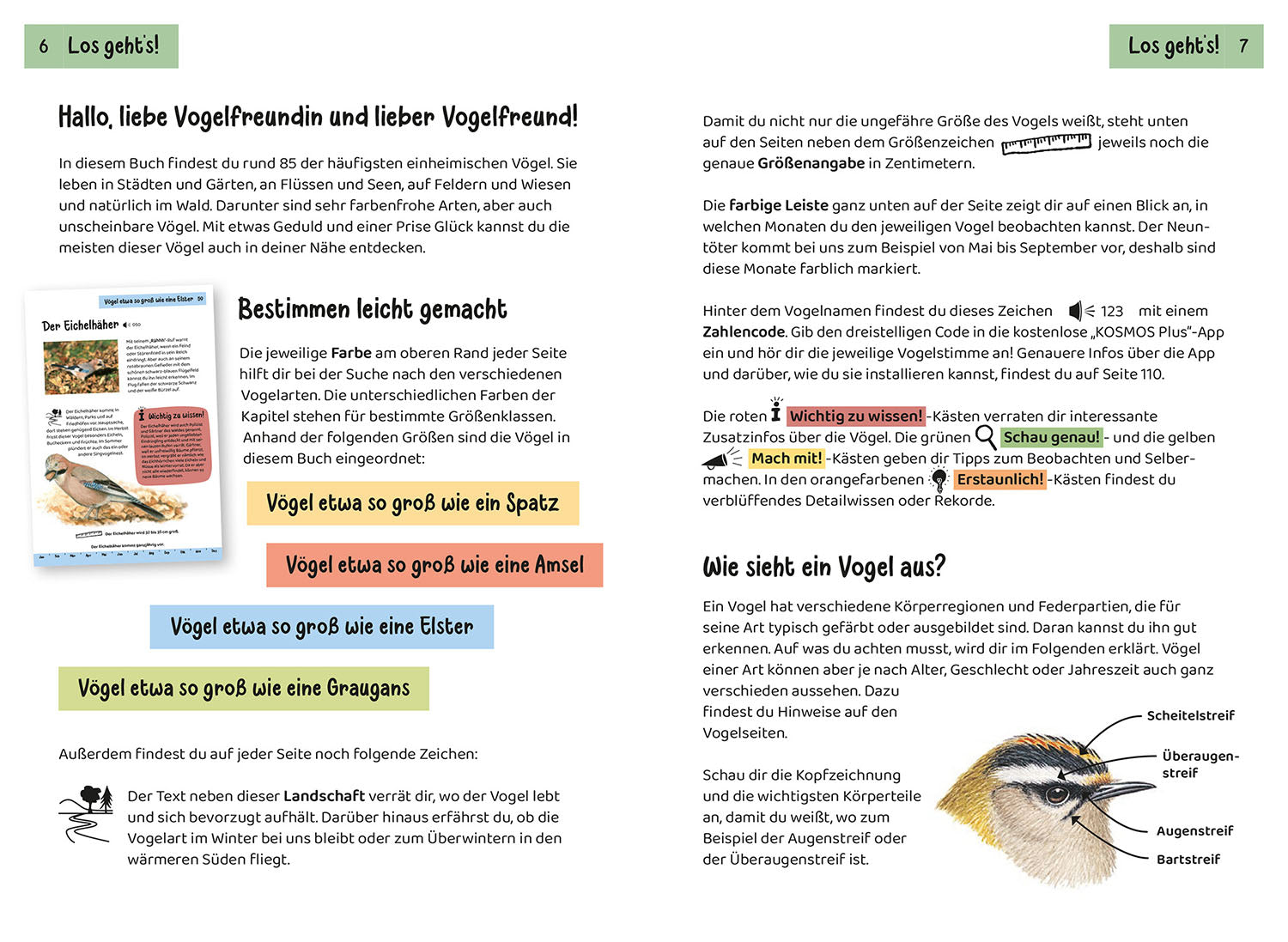 kosmos-was-fliegt-denn-da-kindernaturf-hrer-v-gel image 4