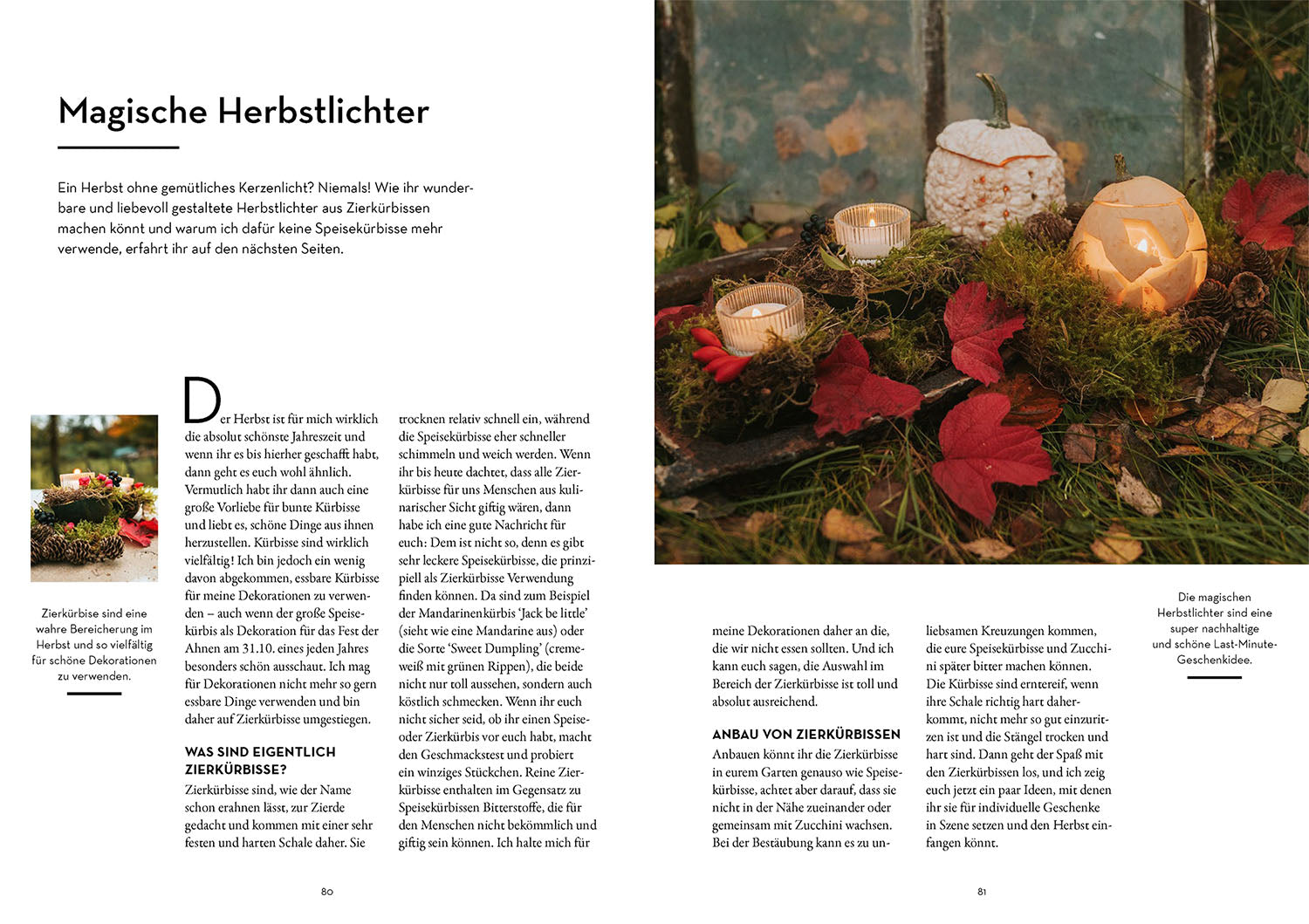 kosmos-geschenke-pflanzen-gartenbuch-diy-geschenke-aus-dem-garten image 5