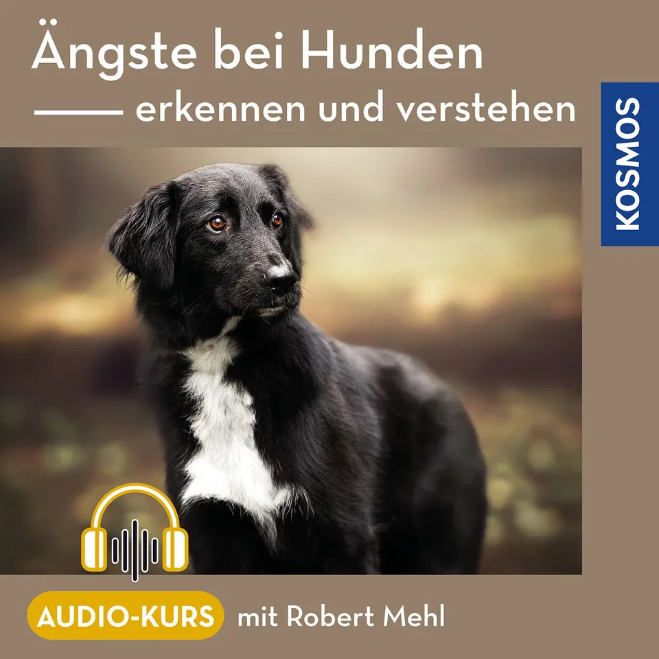 die-zauberkicker-ngste-bei-hunden-erkennen-audio-kurs-verhaltenstherapie image 1