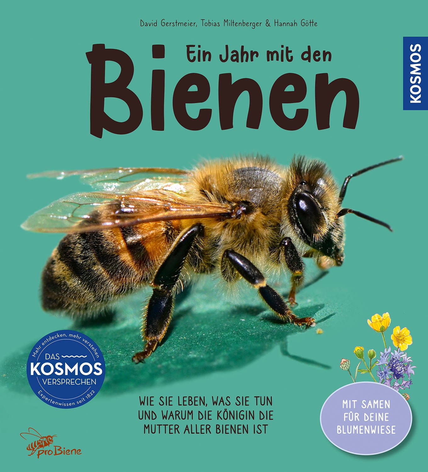 kosmos-ein-jahr-mit-den-bienen-ratgeber-mit-samen image 1