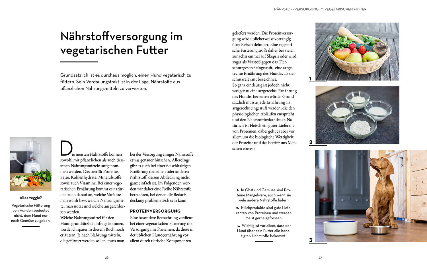 kosmos-veggie-feeding-buch-vegetarisches-hundefutter image 4