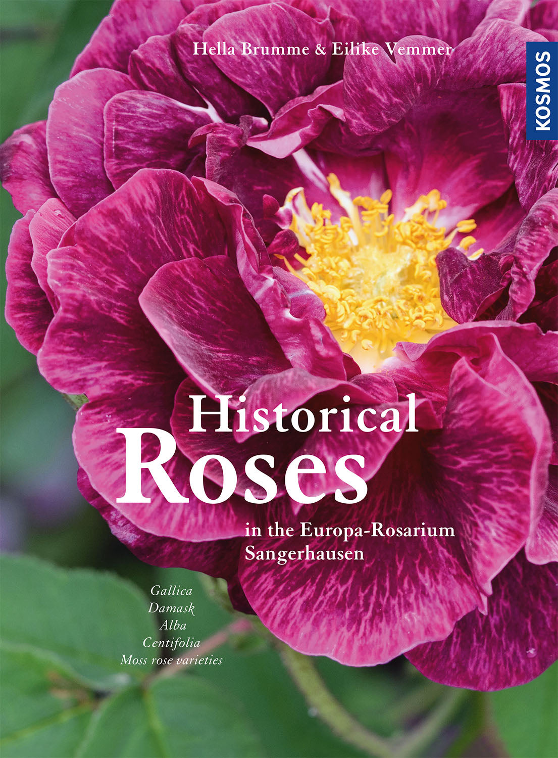 kosmos-historical-roses-rosenbuch-historische-sorten-sangerhausen image 1