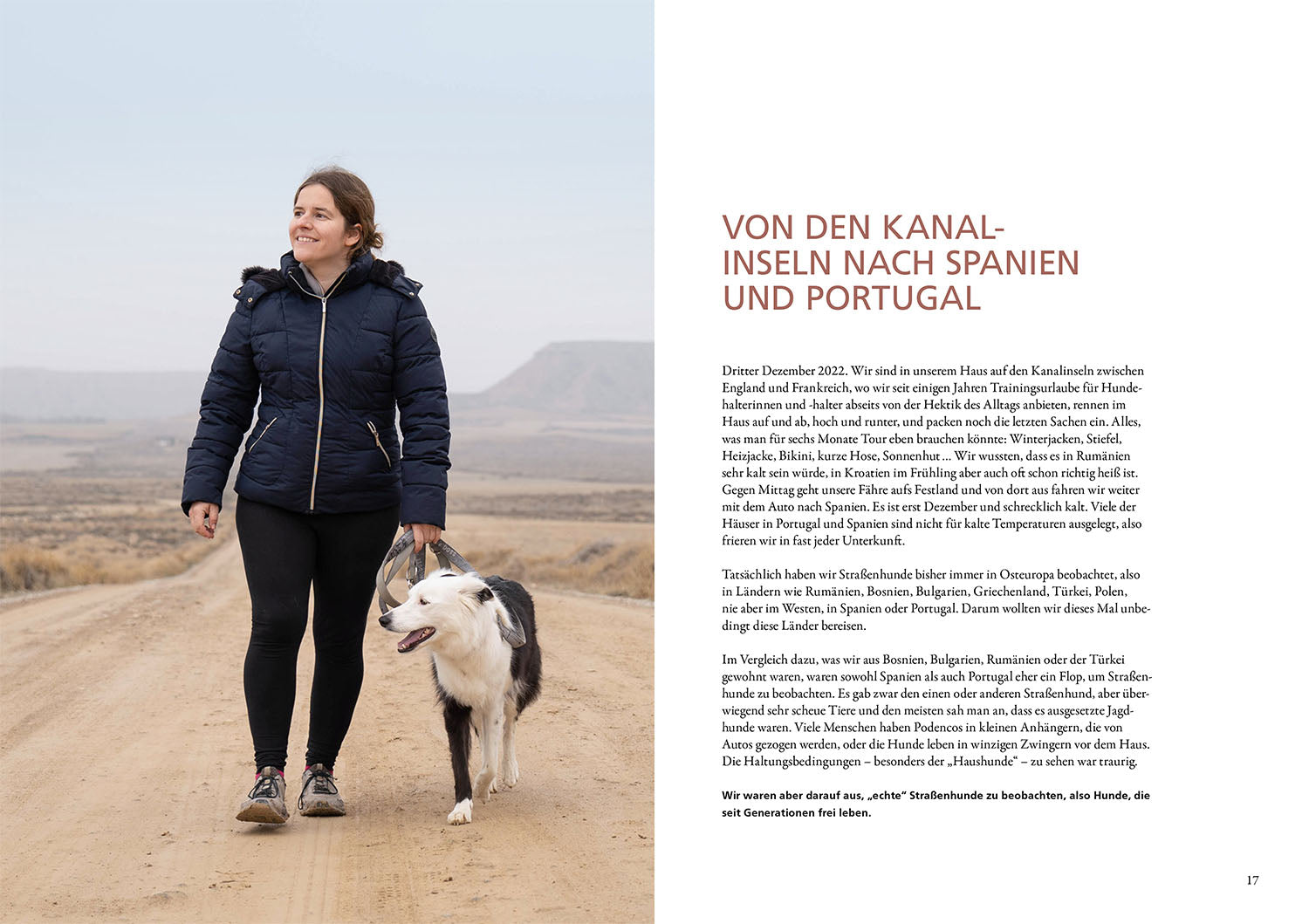 kosmos-die-geheime-welt-der-stra-enhunde-hunderatgeber-buch image 3