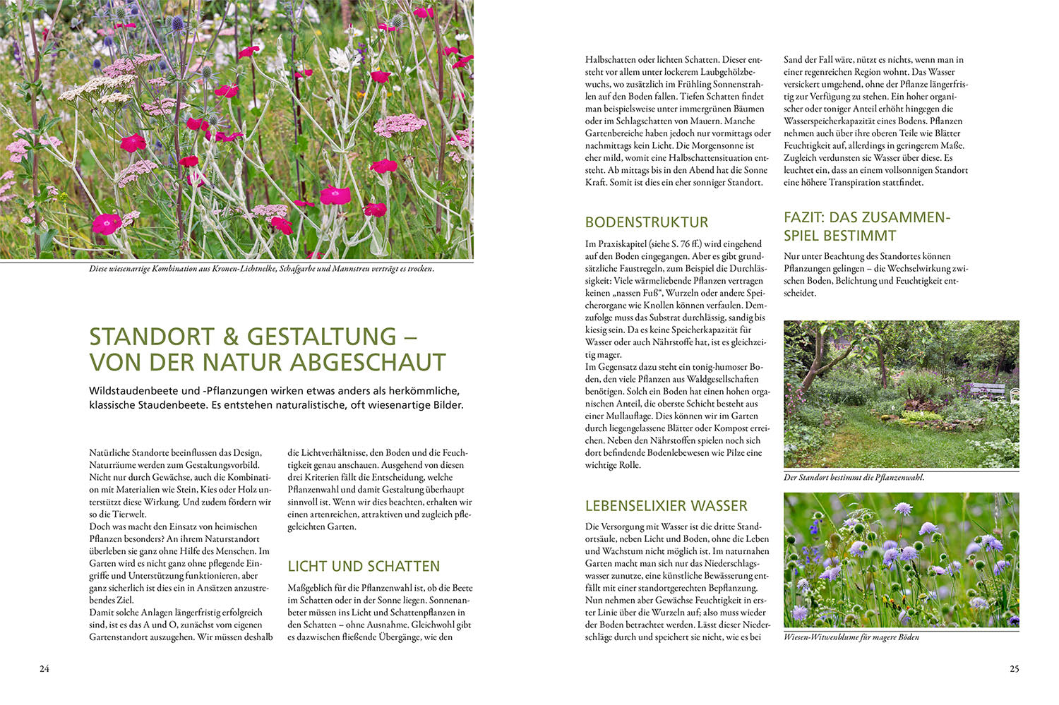 kosmos-wild-bunt-gartenbuch-tierfreundlicher-garten image 3
