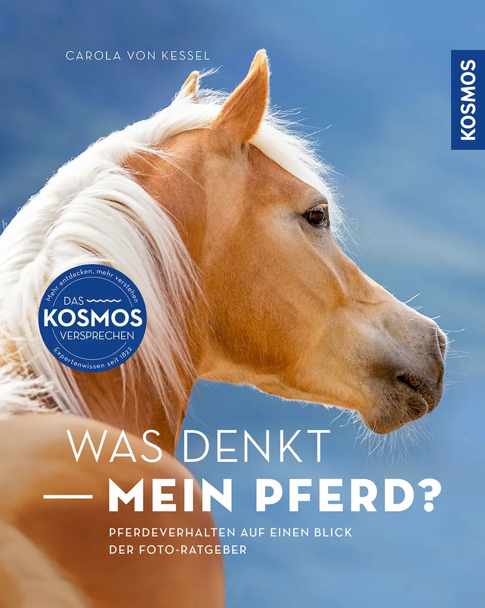 kosmos-was-denkt-mein-pferd-foto-ratgeber-pferdesprache image 1