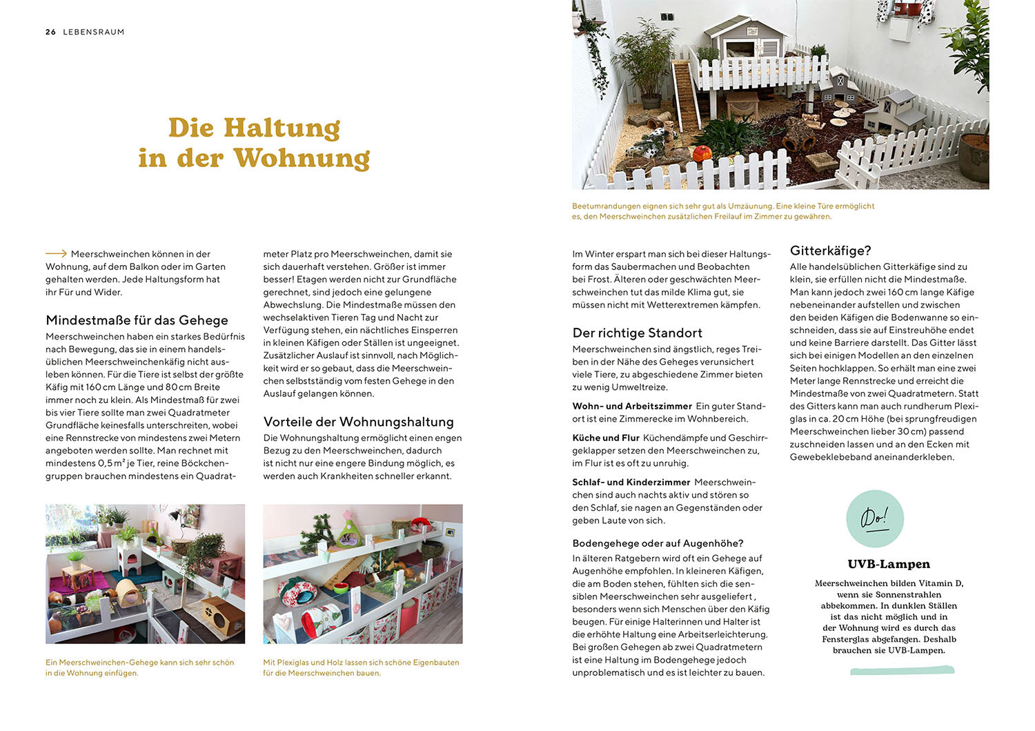 adventure-games-b-cher-meerschweinchen-ratgeber-ersthalter image 4