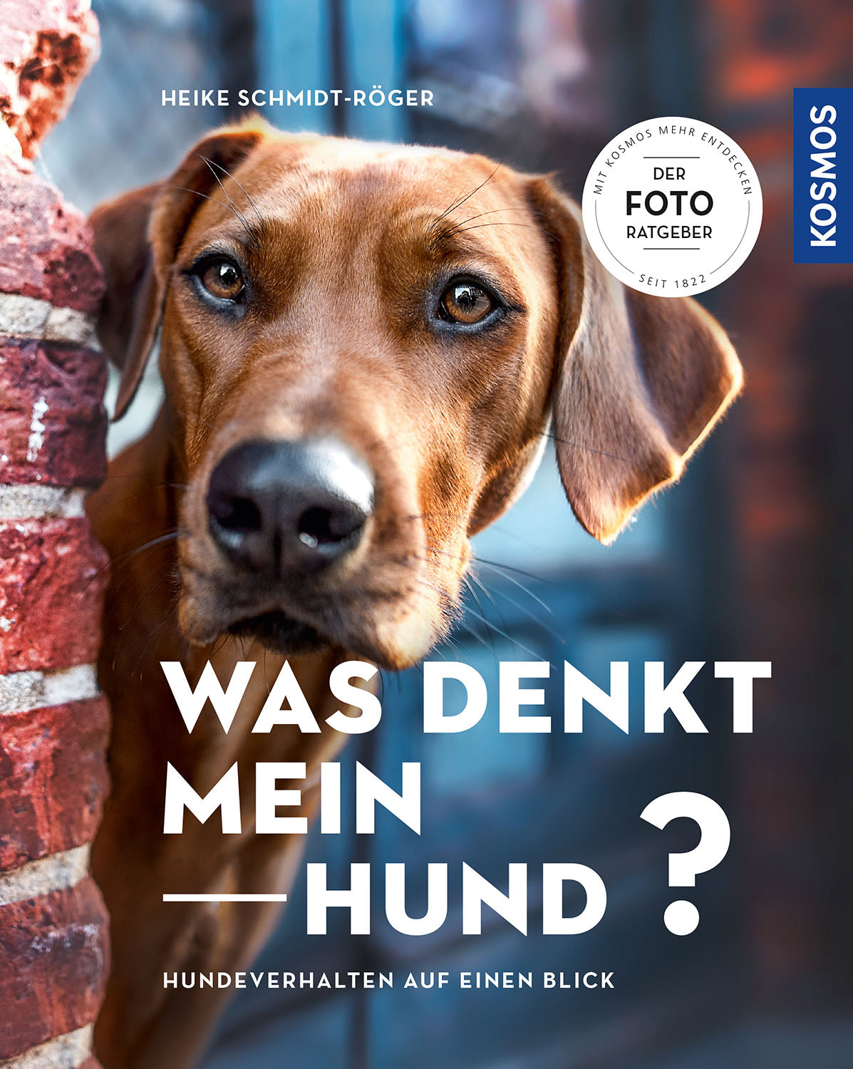 kosmos-was-denkt-mein-hund-hundebuch-k-rpersprache image 1