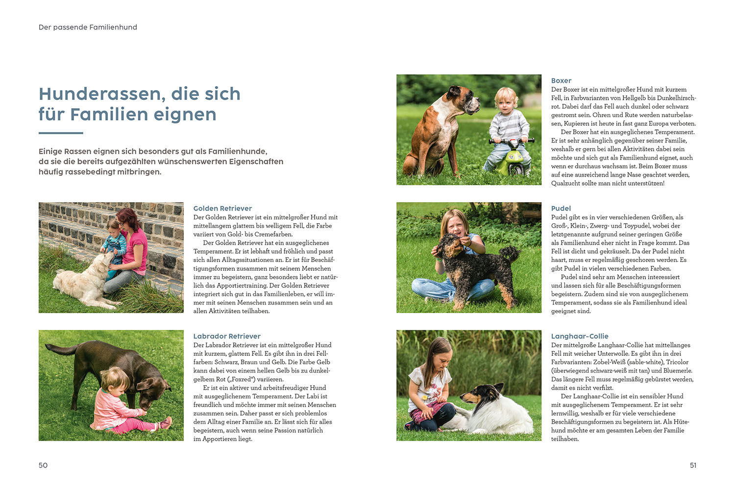kosmos-hund-und-kind-mit-martin-r-tter-buch-familien-ratgeber image 4