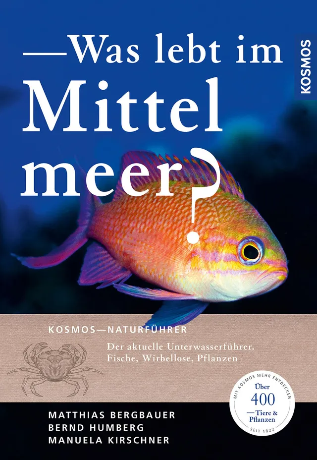 kosmos-was-lebt-im-mittelmeer-naturf-hrer-400-arten image 1