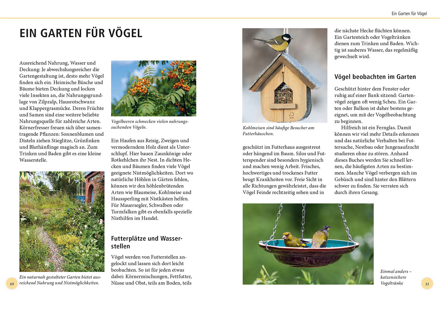 kosmos-gartenv-gel-lebensgro-buch-68-arten-naturf-hrer image 3