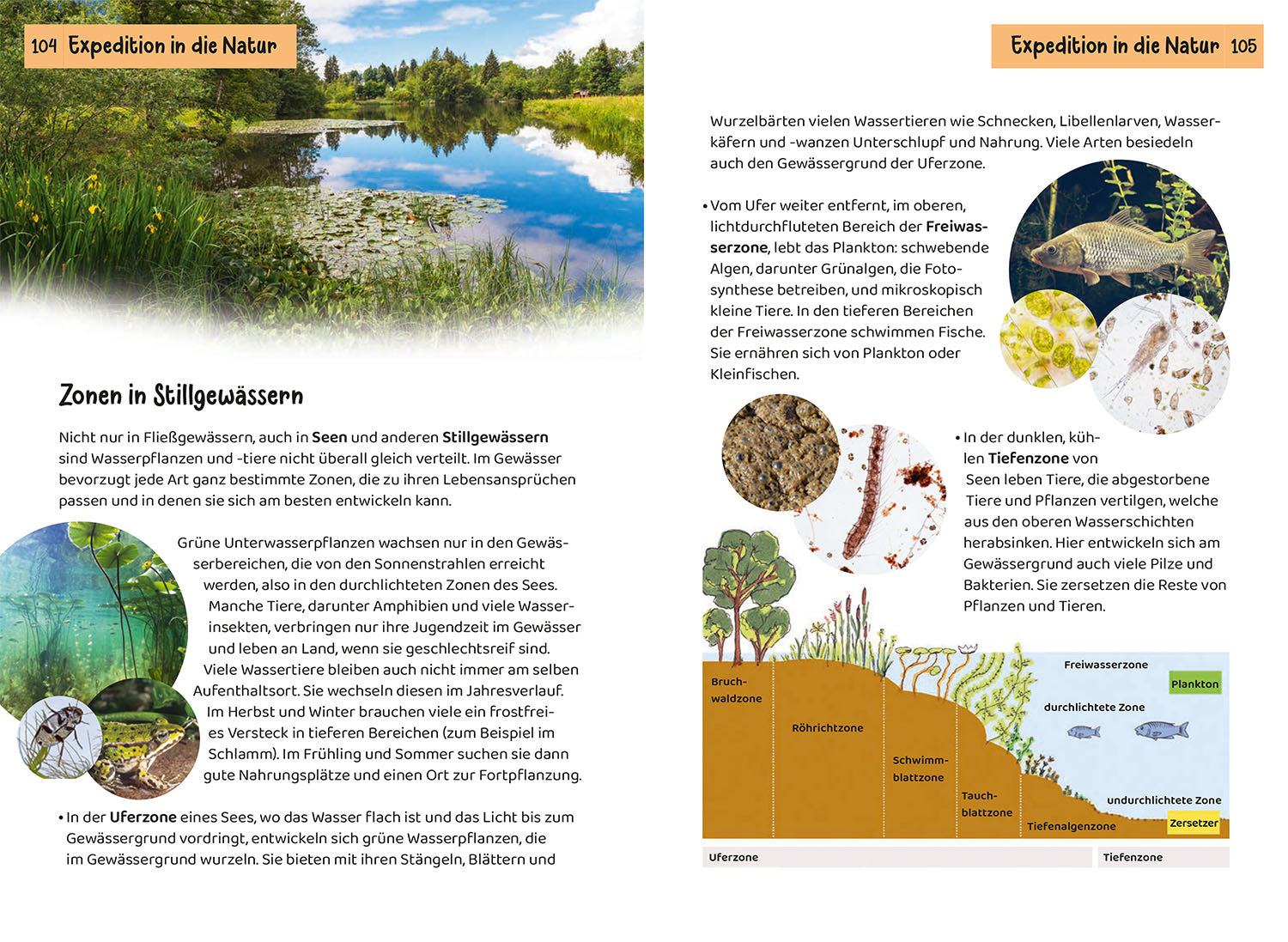 kosmos-was-lebt-an-bach-und-teich-kindernaturf-hrer-85-arten image 6