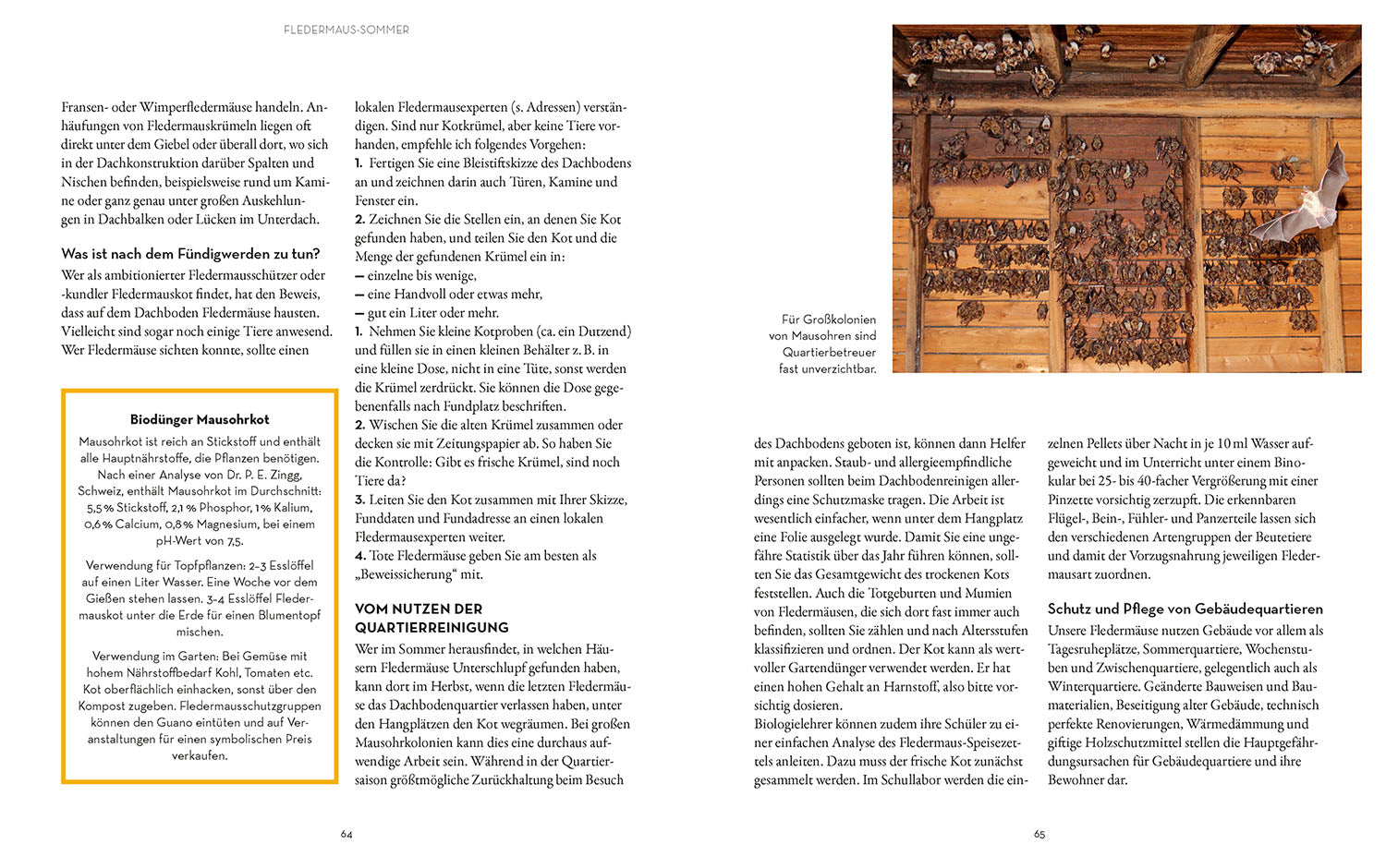 kosmos-flederm-use-buch-nachttiere-beobachten-und-sch-tzen image 5
