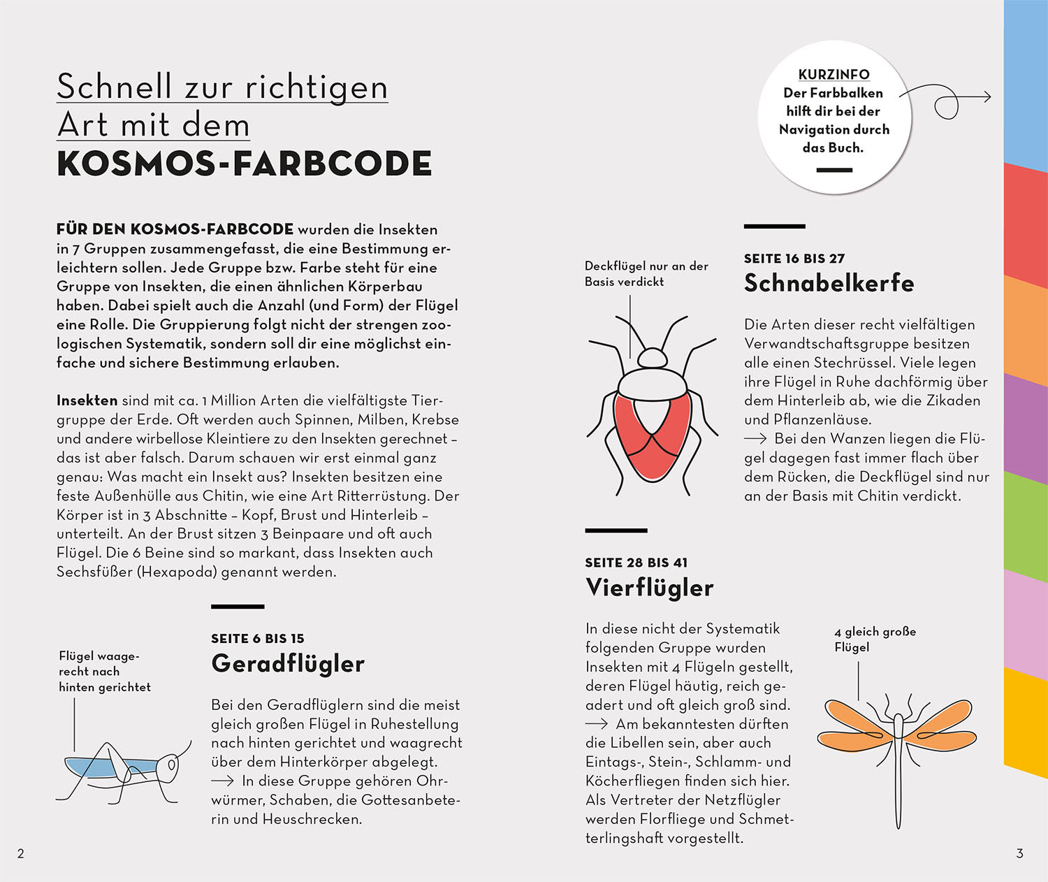 kosmos-basic-insekten-naturf-hrer-100-arten-bestimmen image 3