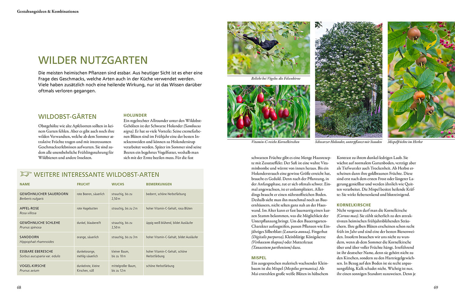 kosmos-wild-bunt-gartenbuch-tierfreundlicher-garten image 5