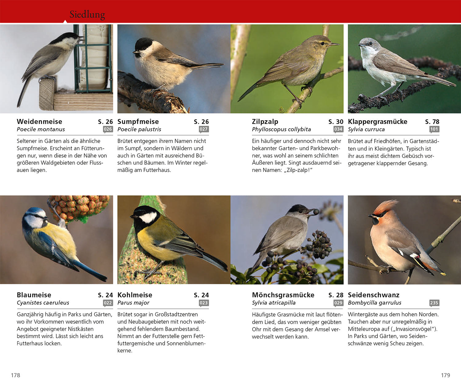 kosmos-vogelf-hrer-f-r-unterwegs-bestimmungsbuch-einsteiger-2 image 6