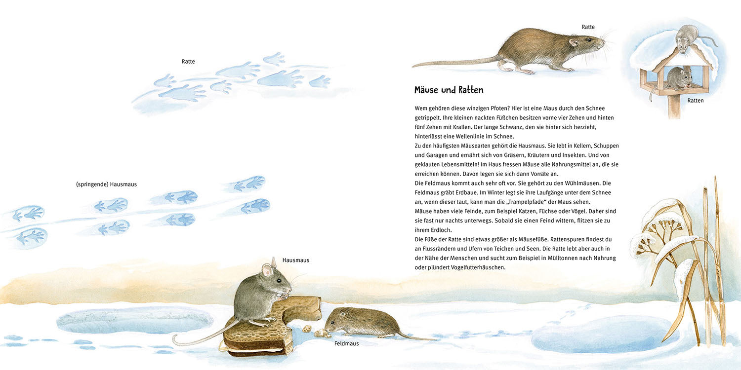 kosmos-welches-tier-lief-denn-hier-bilderbuch-tierspuren image 5