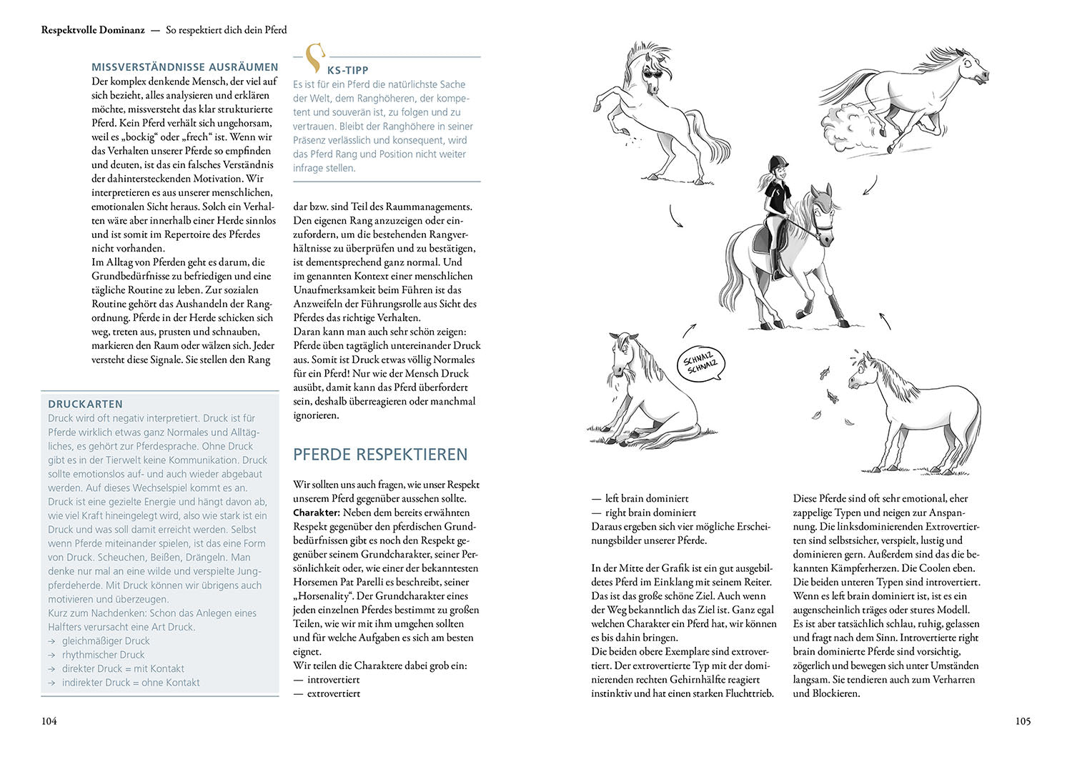 kosmos-katja-schnabels-pferdetraining-buch-pferdeausbildung image 5