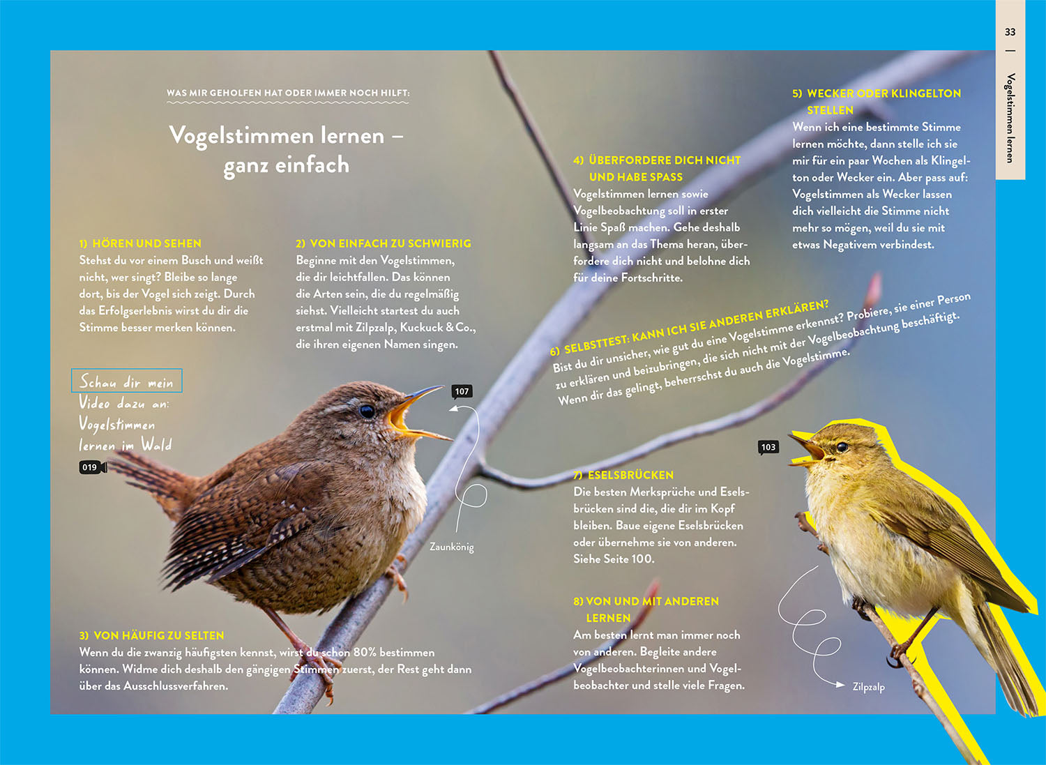kosmos-nature-guide-v-gel-vogelf-hrer-bestimmung-nibbenhagen image 6