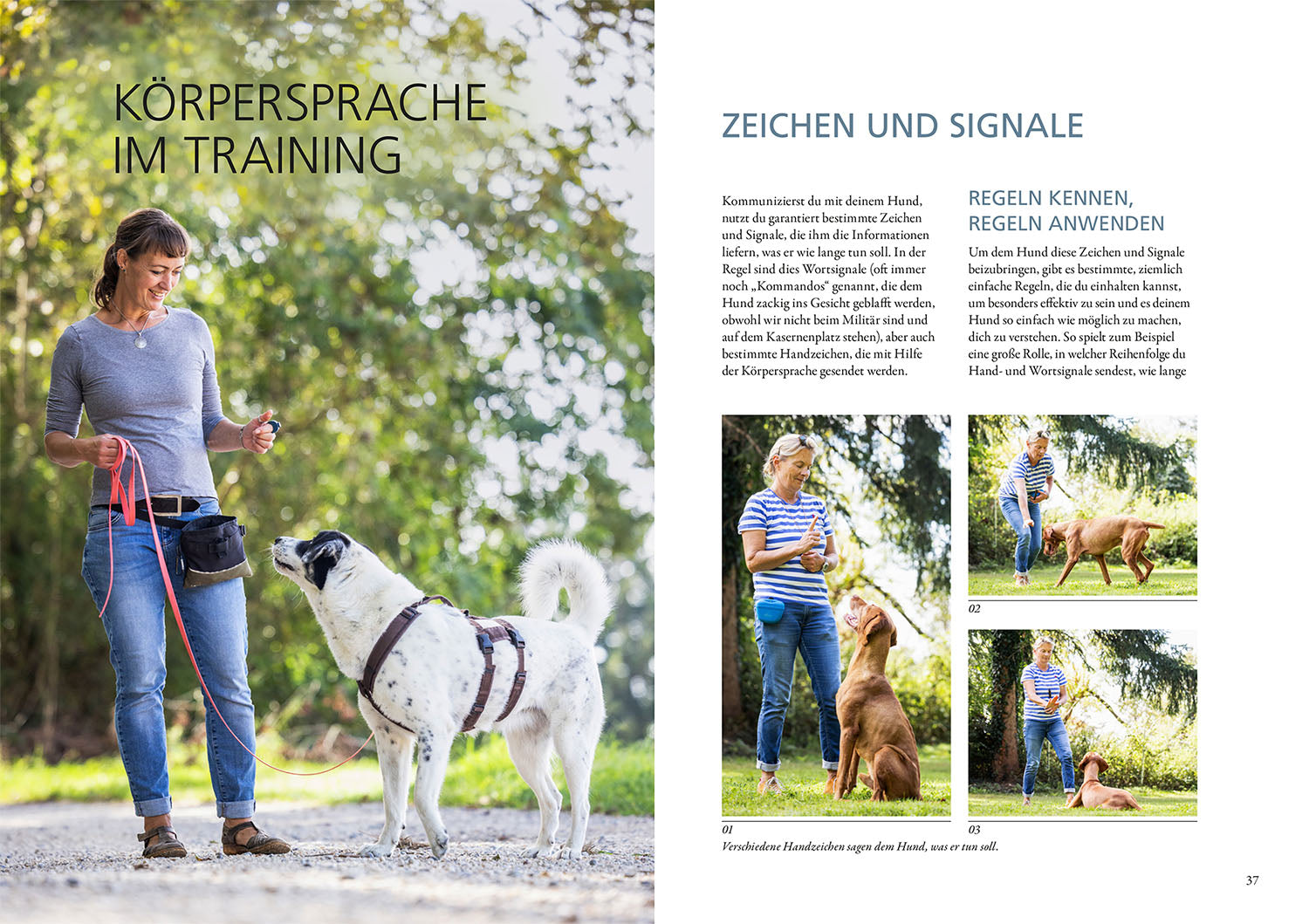 die-macht-der-k-rpersprache-hundebuch-kommunikation-training image 4