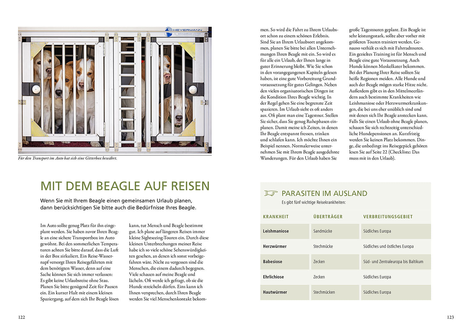 kosmos-praxiswissen-hund-beagle-hunderatgeber-haltung-erziehung image 6