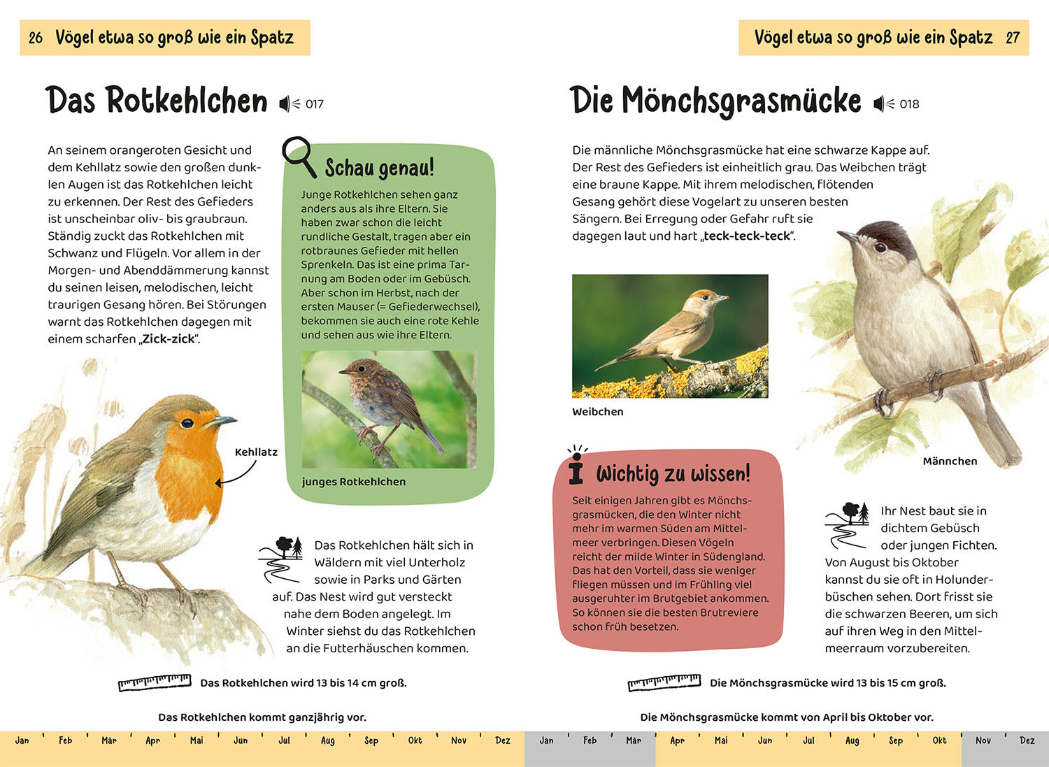 kosmos-was-fliegt-denn-da-kindernaturf-hrer-v-gel image 5