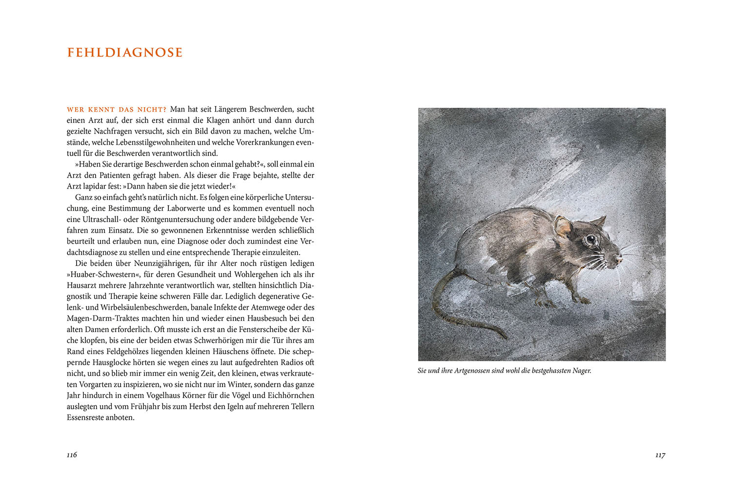 kosmos-im-hier-und-jetzt-buch-hochsitz-jagd-j-rg-mangold image 5