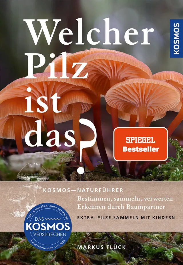 kosmos-welcher-pilz-ist-das-pilzf-hrer-pilze-bestimmen image 1