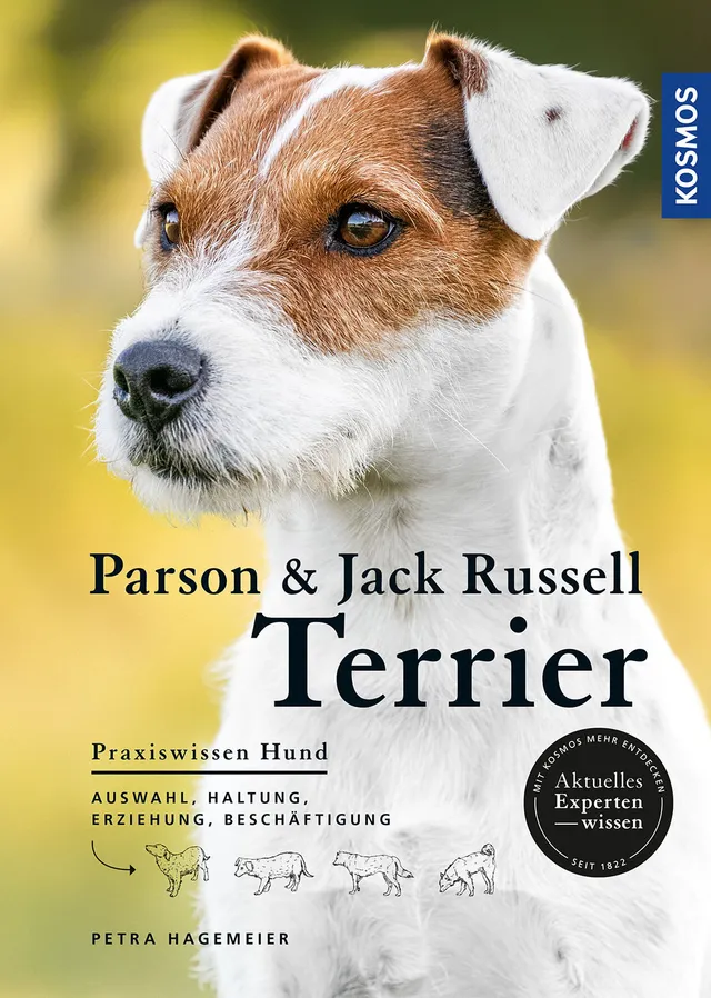 kosmos-parson-und-jack-russell-terrier-ratgeber-praxiswissen-hund image 1