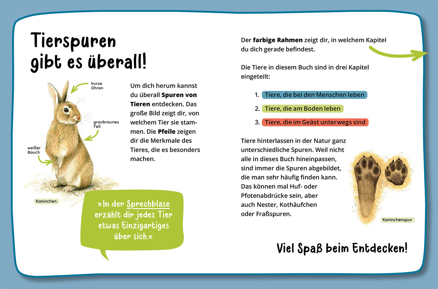 kosmos-mein-erster-naturf-hrer-welche-tierspur-ist-das-buch image 3