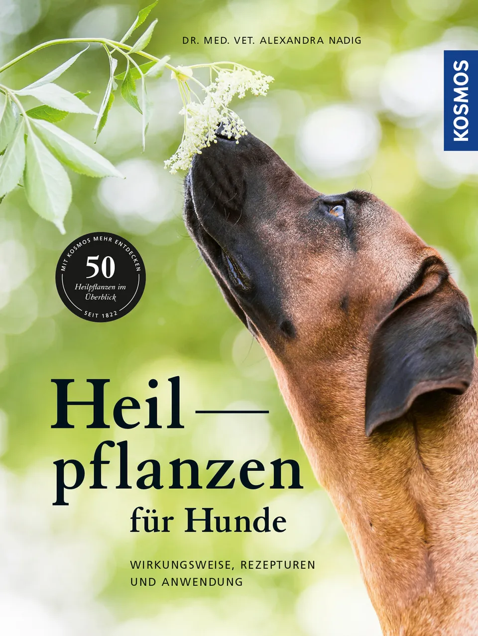 kosmos-heilpflanzen-f-r-hunde-ratgeber-ebook image 1
