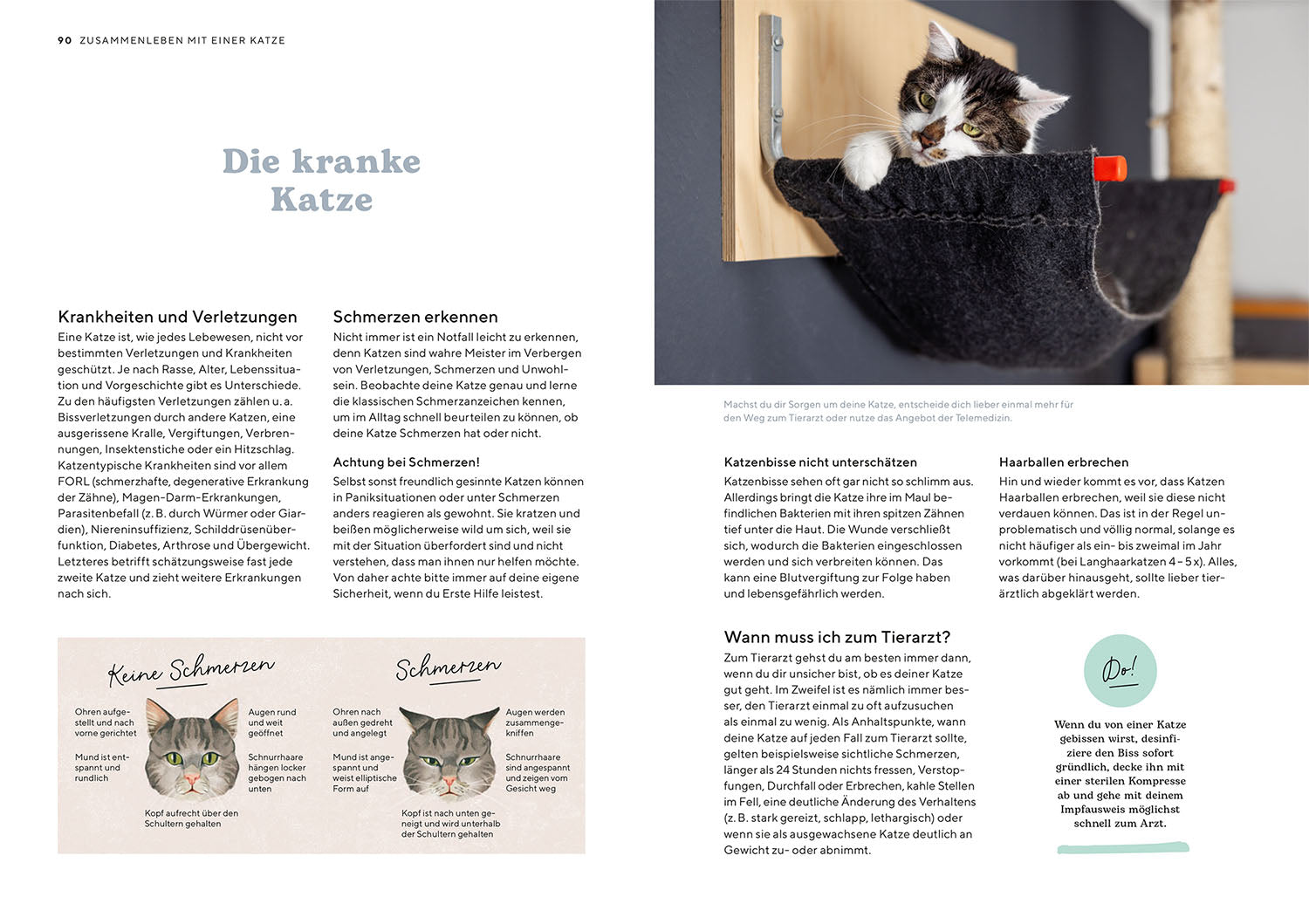 kosmos-k-tzchen-ratgeber-katzenbuch-haltung-auswahl image 6