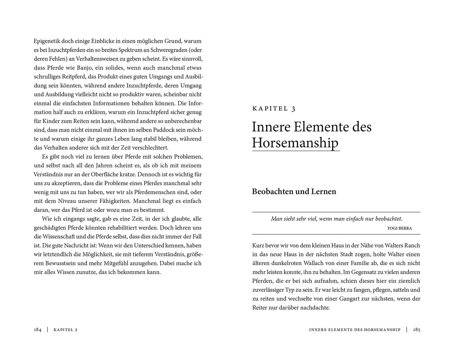 kosmos-aus-liebe-zu-den-pferden-buch-mark-rashid image 5