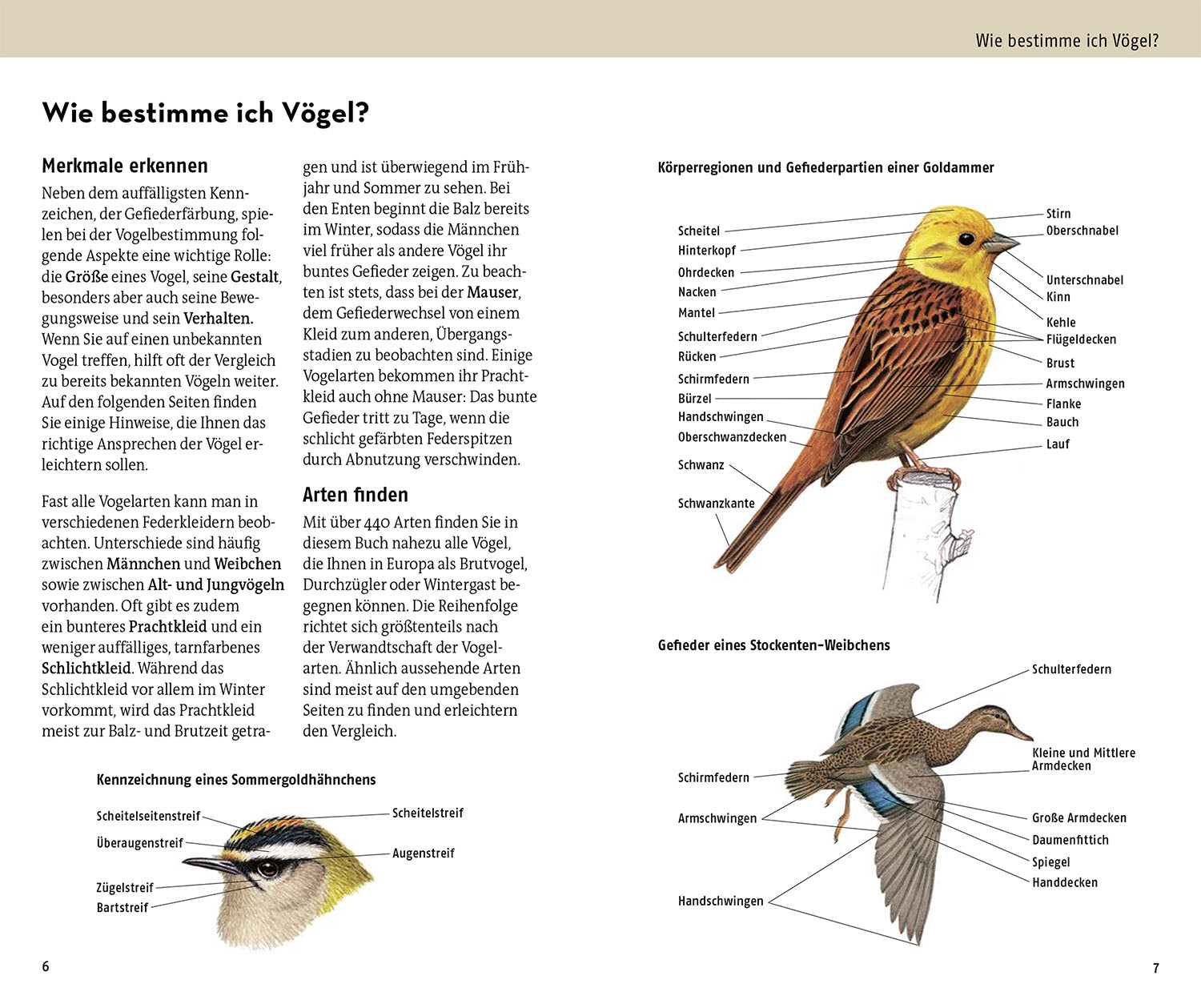 kosmos-welcher-vogel-ist-das-vogelbuch-mit-350-arten image 3