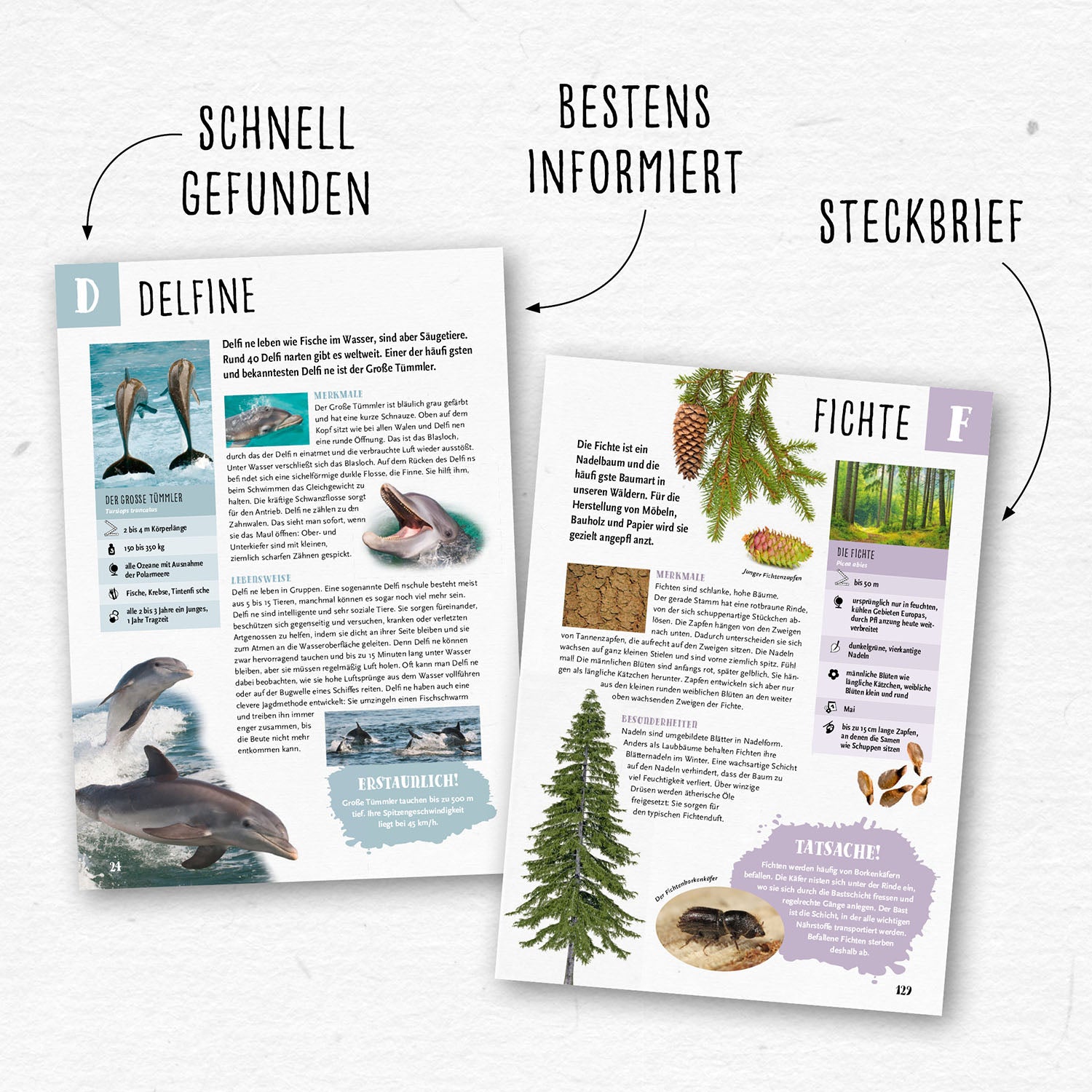 kosmos-grundschullexikon-tiere-pflanzen-kinderlexikon-a-z image 3
