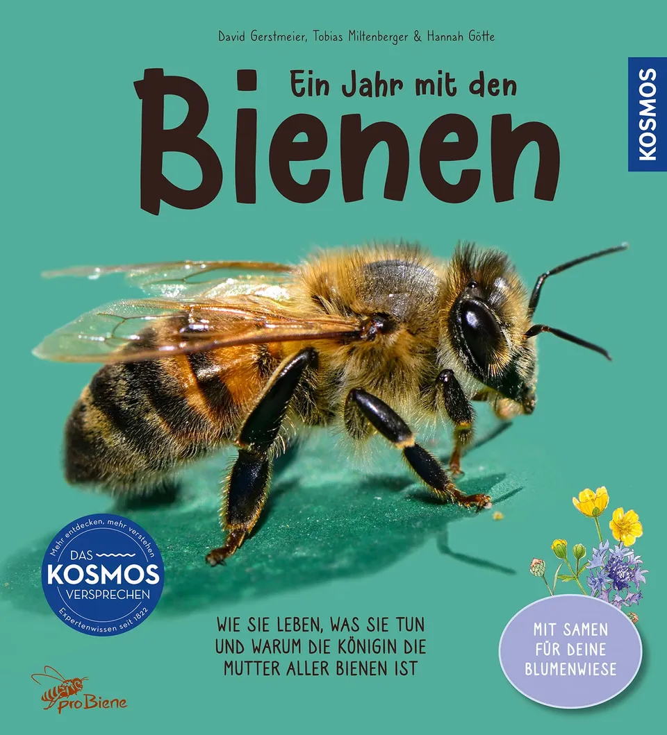 kosmos-ein-jahr-mit-den-bienen-ratgeber-mit-samen image 1