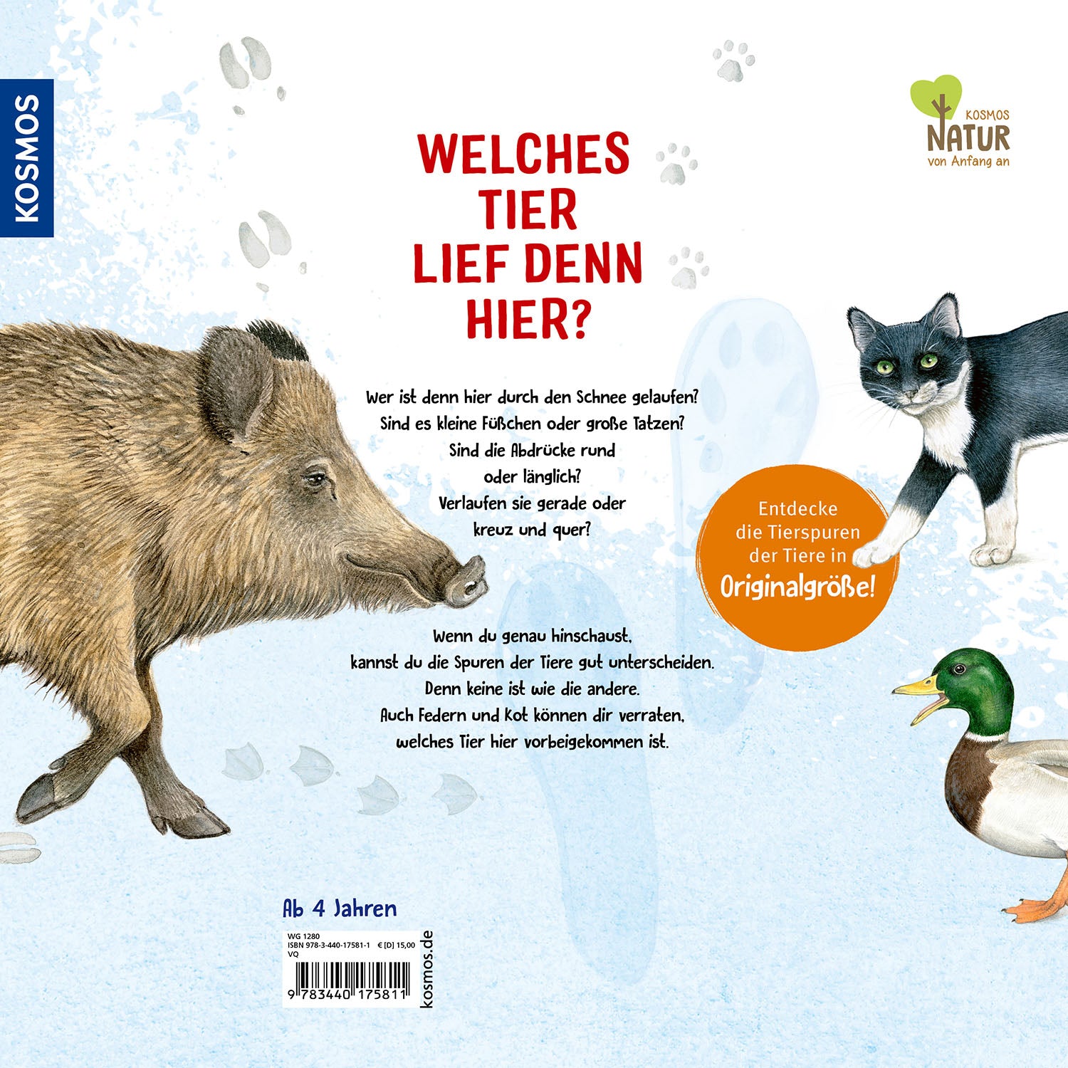 kosmos-welches-tier-lief-denn-hier-bilderbuch-tierspuren image 2
