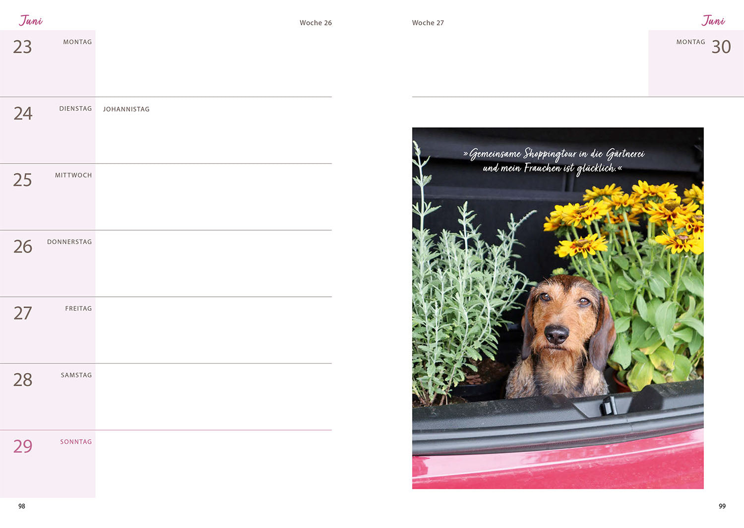 kosmos-katrins-garten-mit-herz-gabel-gartenbuch-2025-gartenkalender image 4
