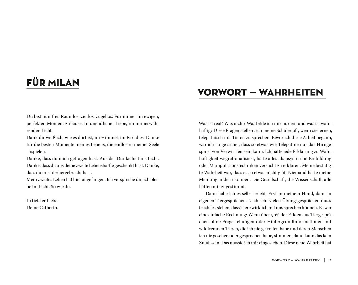kosmos-der-raum-dazwischen-pferdebuch-tierkommunikation-catherin-seib image 3