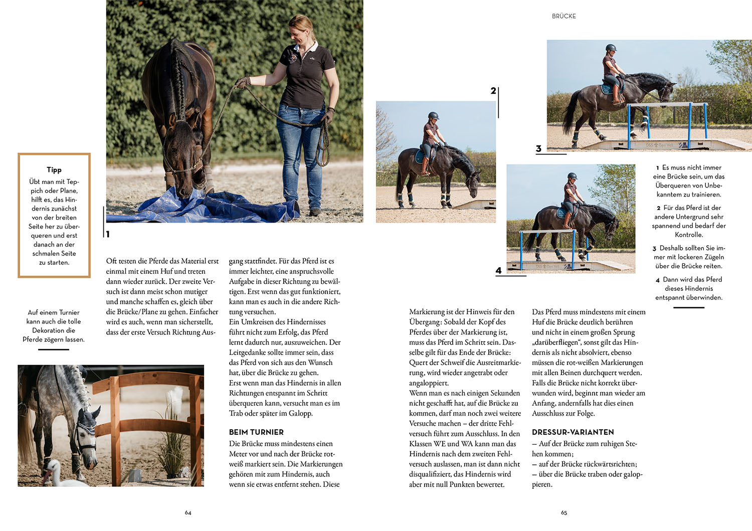 kosmos-working-equitation-buch-mirjam-wittman-ratgeber image 5