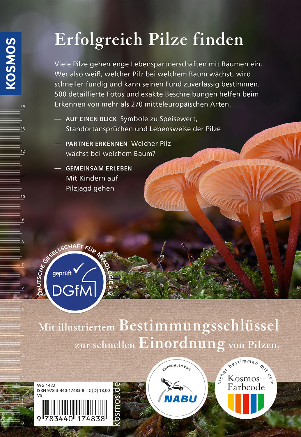 kosmos-welcher-pilz-ist-das-pilzbuch-bestimmungsschl-ssel-farbfotos image 2